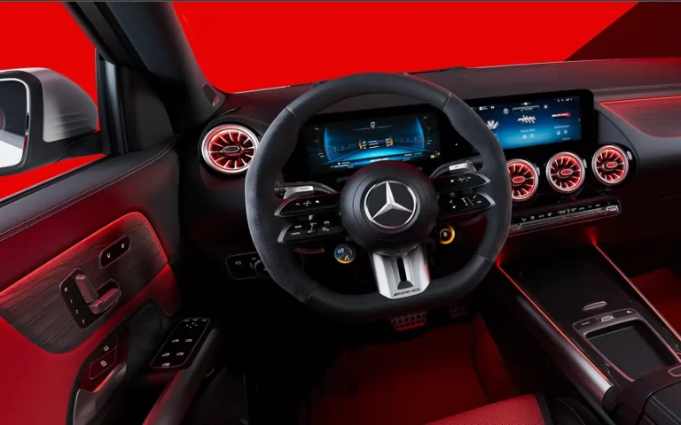 AMG steering wheel